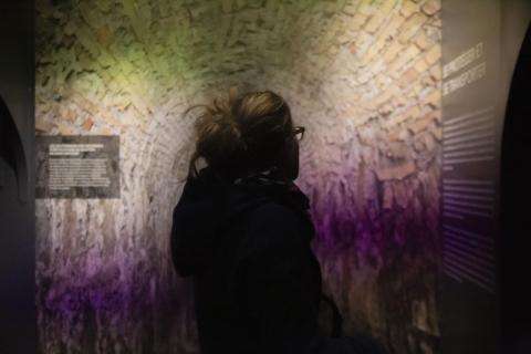 Sans Queue Ni Tête : votre moment insolite à Genève
