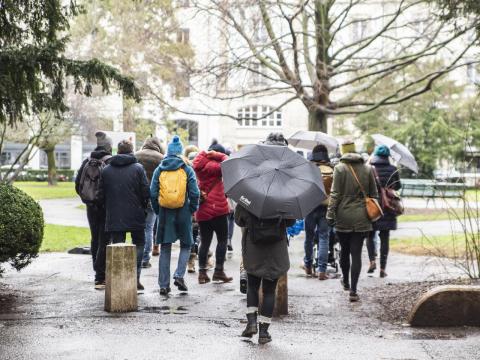 Sans Queue Ni Tête : votre moment insolite à Genève