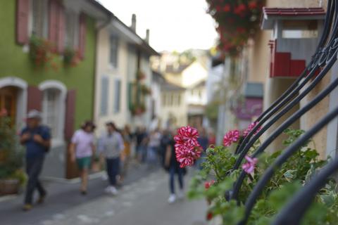 Sans Queue Ni Tête 3